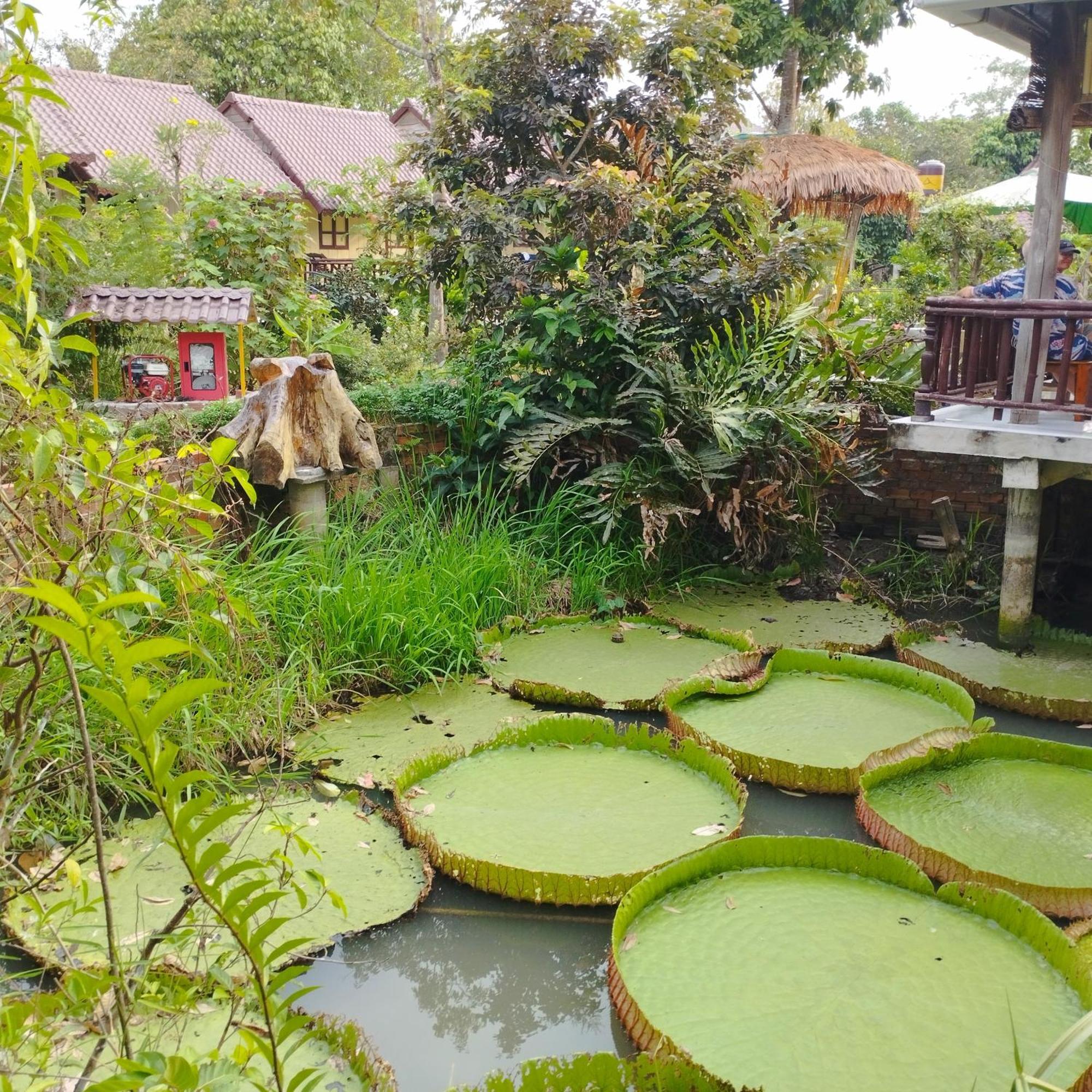 Brown House Resort Can Tho Dış mekan fotoğraf